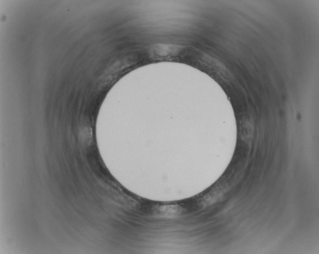 X0000073930324200609082309