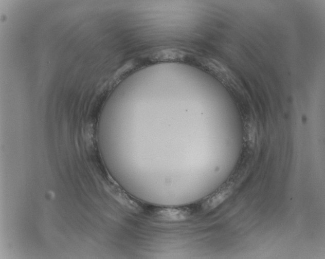 X0000073930326200609082309