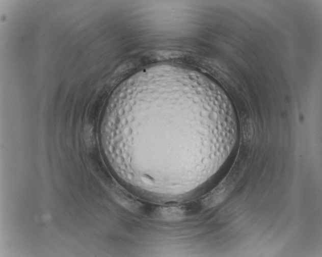 X0000073930327200609082309