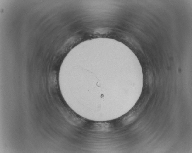 X0000073930328200609082309