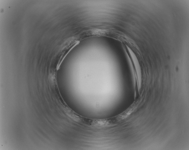 X0000073930329200609082309