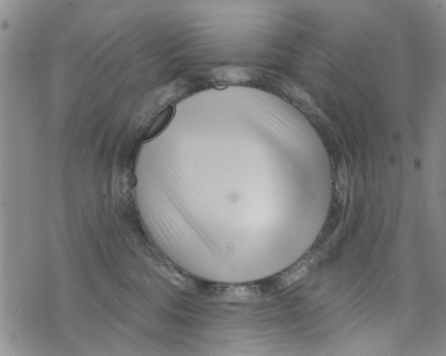 X0000073930330200609082309