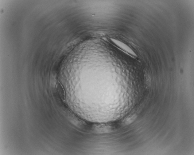 X0000073930331200609082309