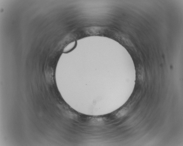 X0000073930332200609082309