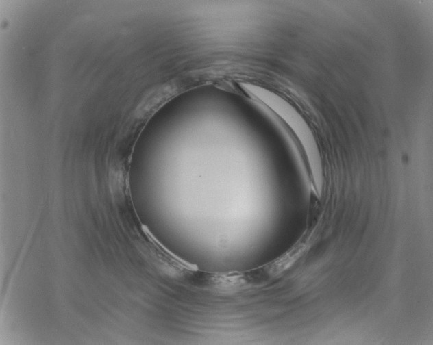 X0000073930333200609082309