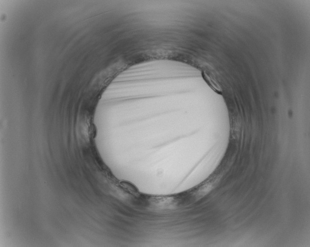 X0000073930334200609082309