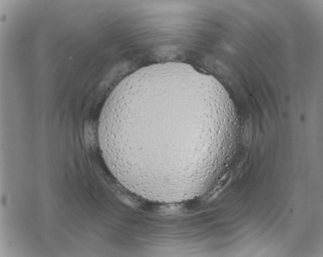 X0000073930335200609082309