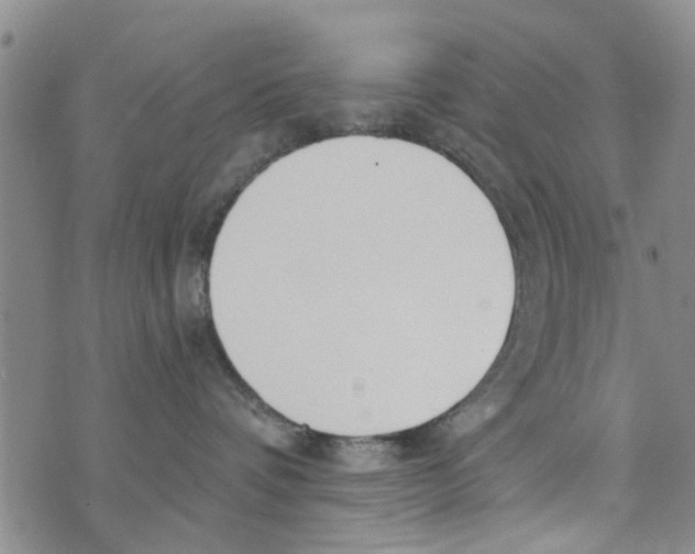 X0000073930336200609082309