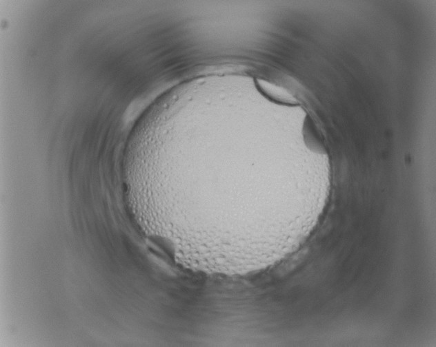 X0000073930337200609082308