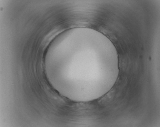 X0000073930338200609082308