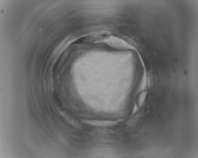 X0000073930339200609082308