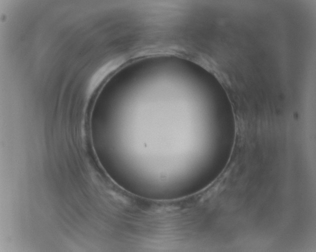 X0000073930340200609082308