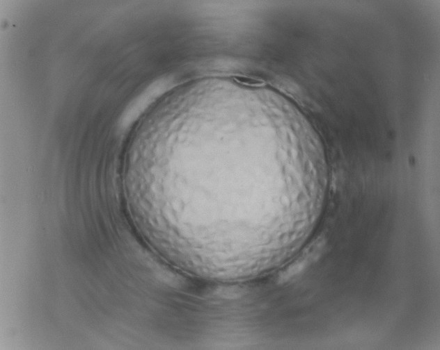 X0000073930341200609082308