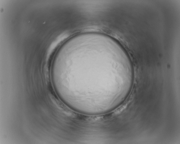 X0000073930343200609082308