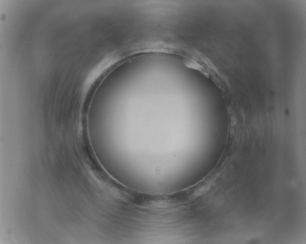 X0000073930344200609082308