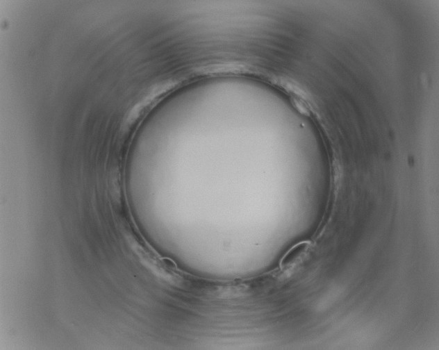 X0000073930345200609082308