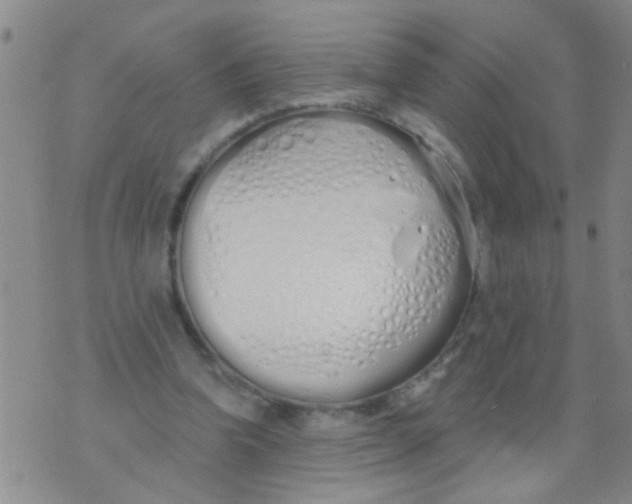 X0000073930346200609082308