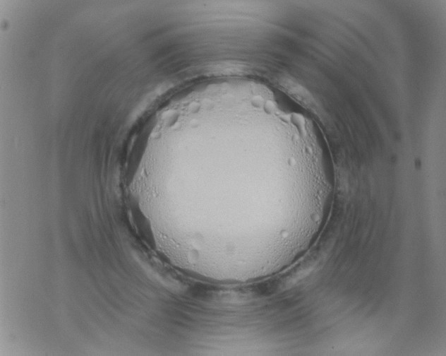 X0000073930347200609082308