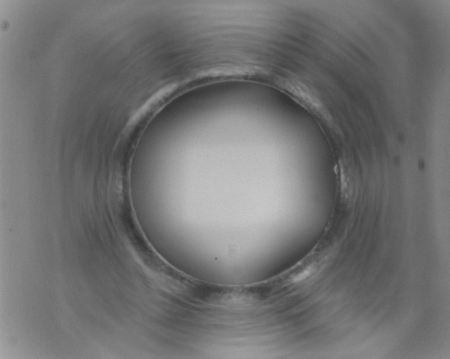 X0000073930348200609082308