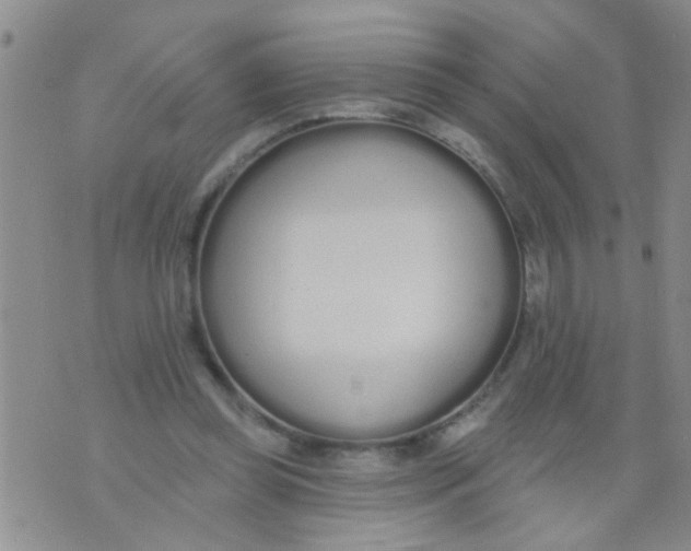 X0000073930349200609082308