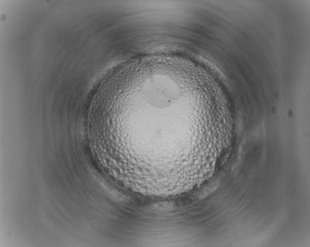 X0000073930353200609082308