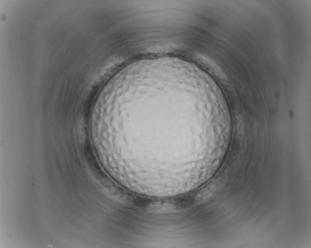 X0000073930354200609082308