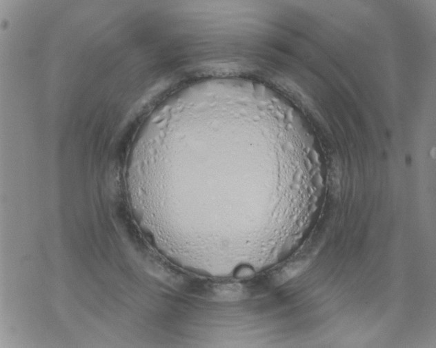 X0000073930355200609082308