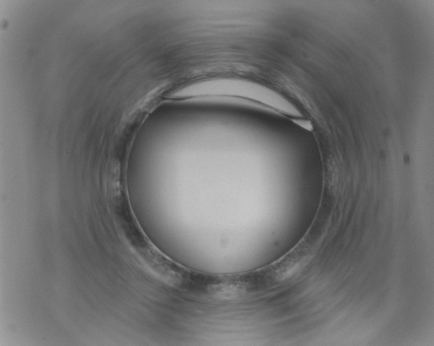 X0000073930356200609082308