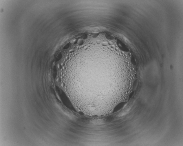 X0000073930357200609082308