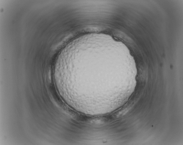 X0000073930358200609082308