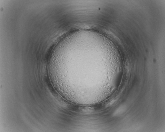 X0000073930359200609082309