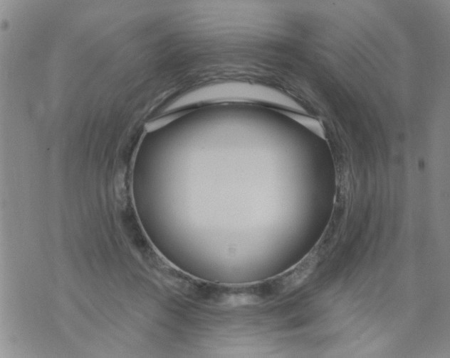 X0000073930360200609082309