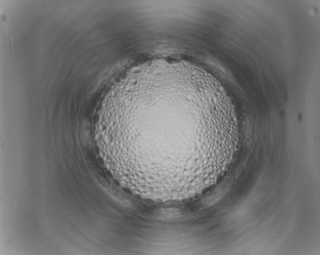 X0000073930361200609082309