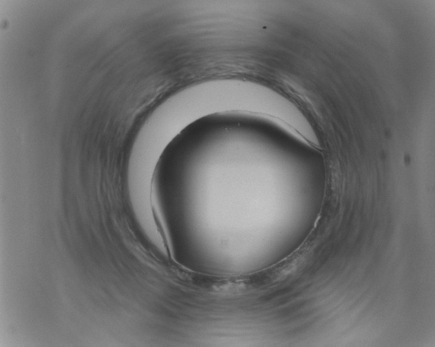 X0000073930362200609082309