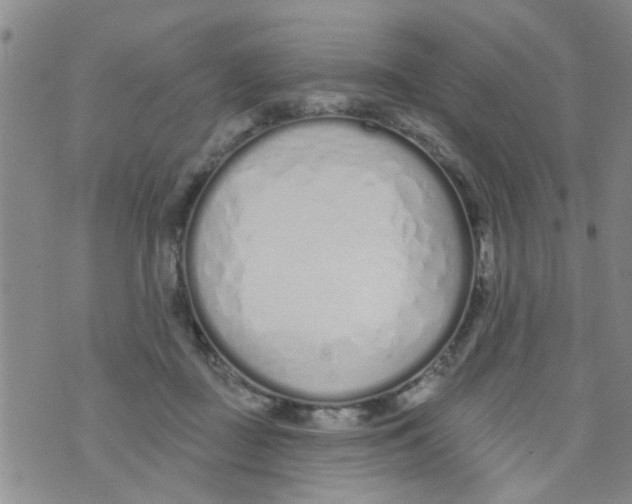 X0000073930363200609082309