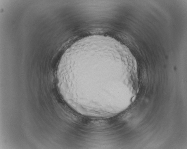 X0000073930367200609082309