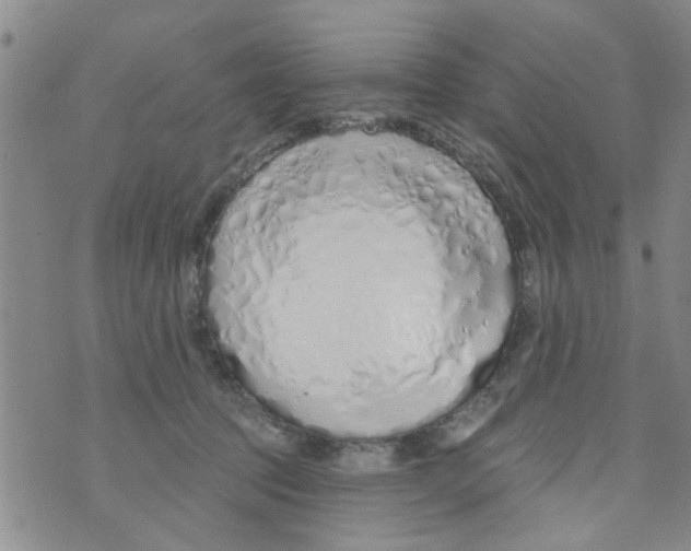 X0000073930369200609082309