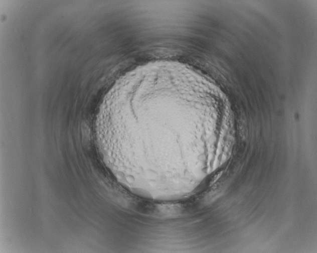 X0000073930371200609082309