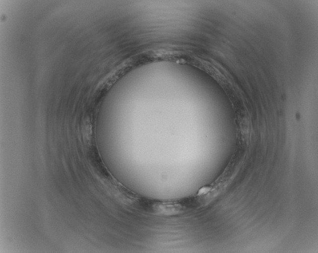 X0000073930372200609082309