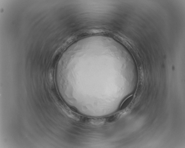 X0000073930373200609082309