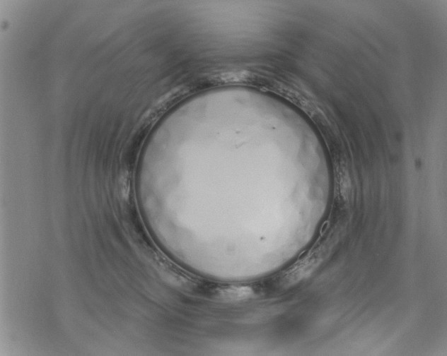 X0000073930374200609082309