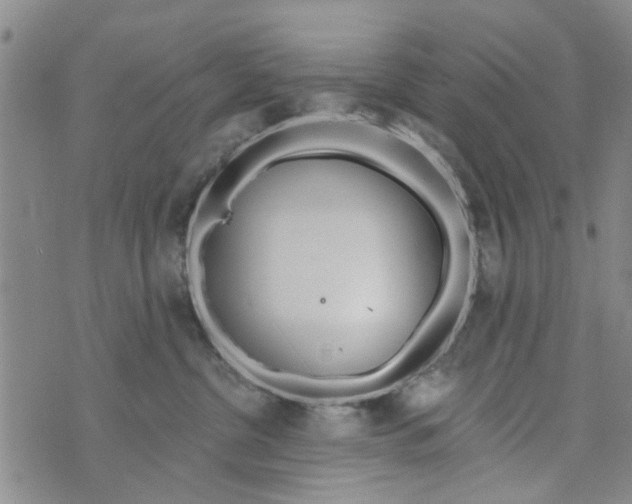 X0000073930380200609082309