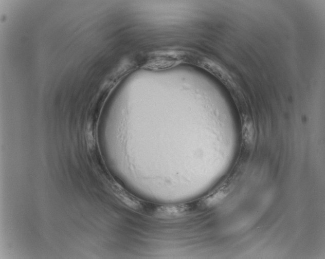 X0000073930381200609082309