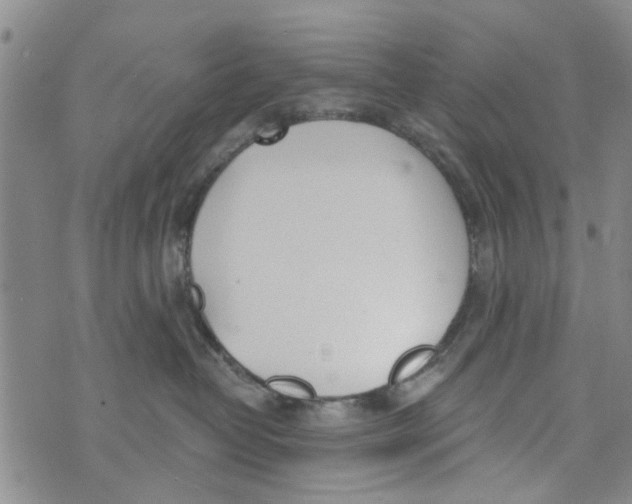 X0000073930382200609082309