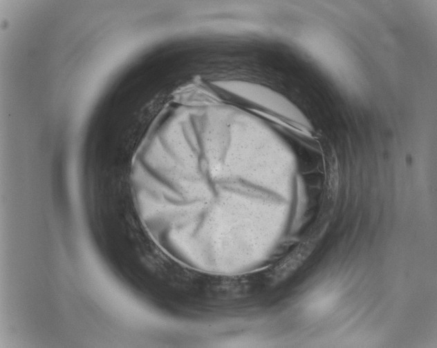 X0000073930383200609082309