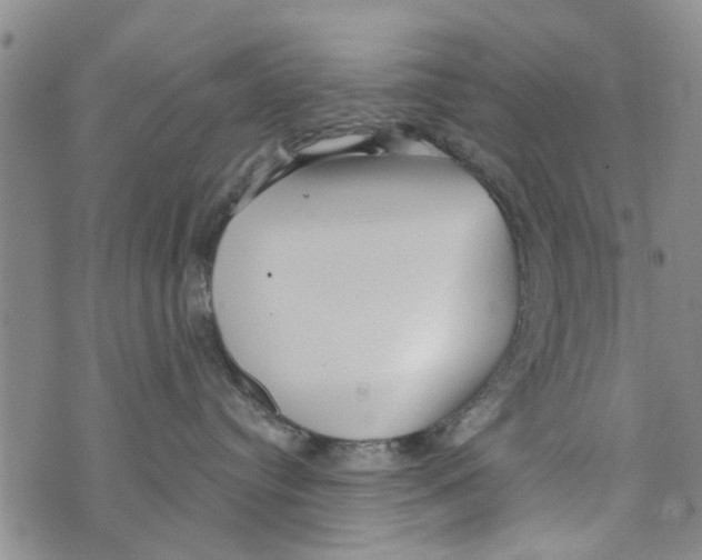 X0000073930384200609082309