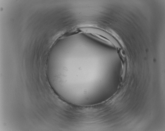 X0000073930385200609082308