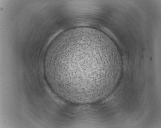 X0000073930386200609082308