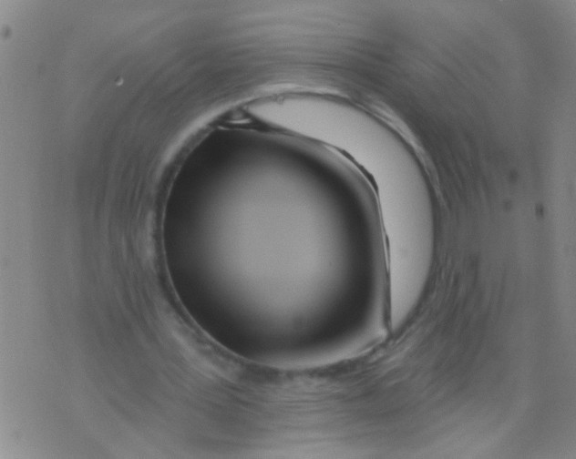 X0000073930387200609082308