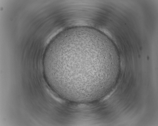 X0000073930390200609082308